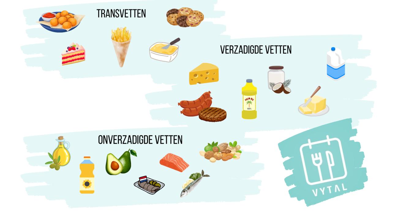 Transvetten, onverzadigde en verzadigde vetten uitgelegd