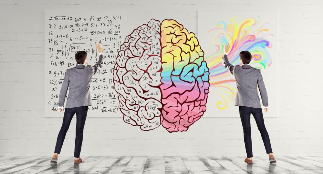 Het oerbrein vs. het mensbrein