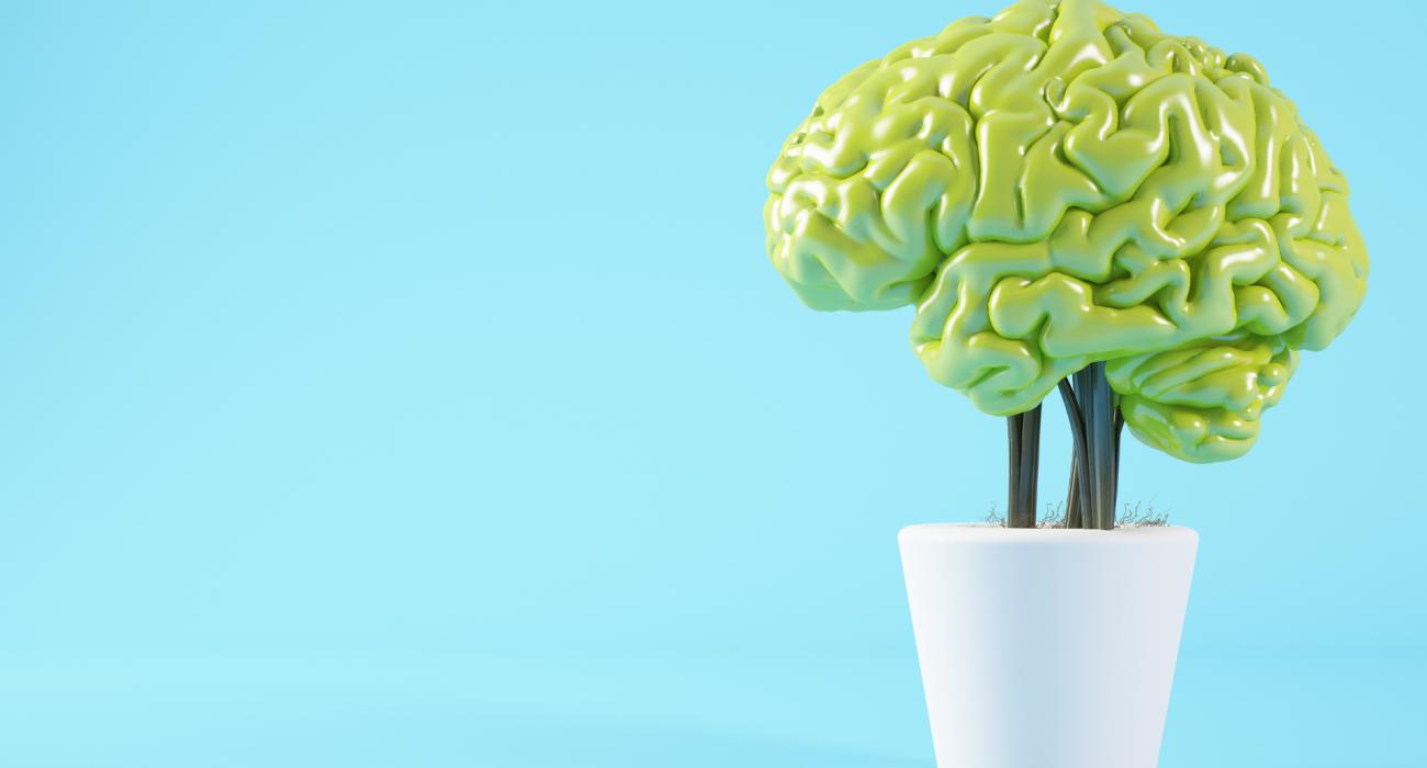 Train je brein met deze 5 tips & tricks