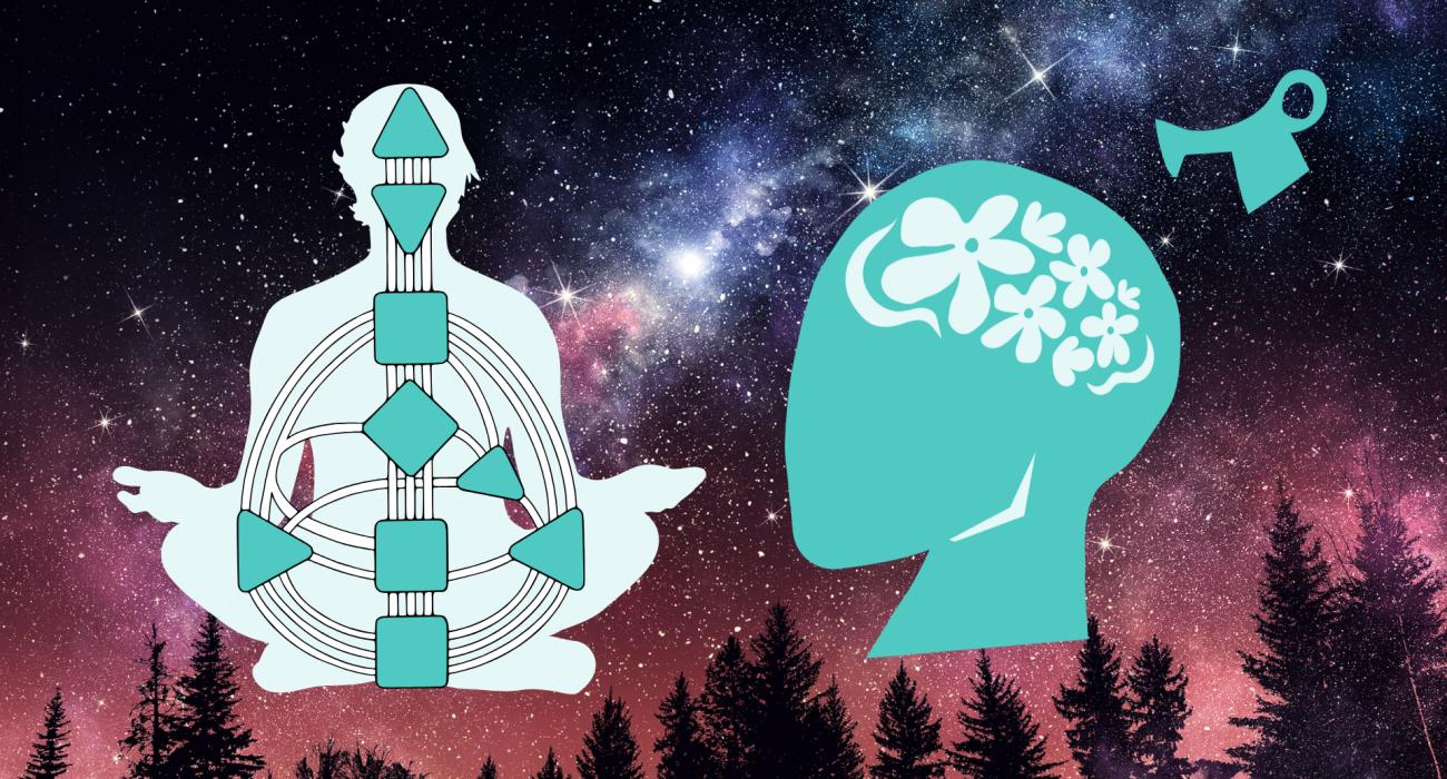 Human Design versus growth mindset