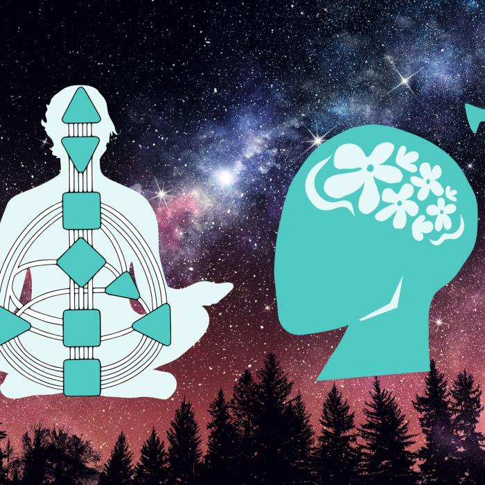 VYTAL Blogs | Human Design versus growth mindset